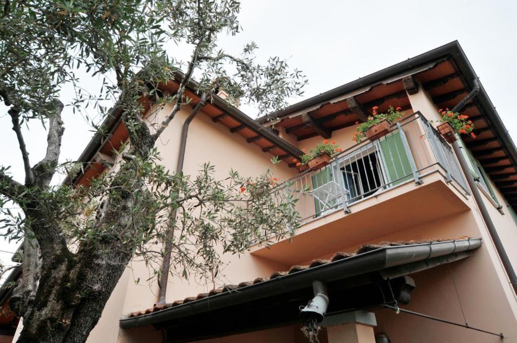 Bed and Breakfast La Madonnina Querceta Zewnętrze zdjęcie